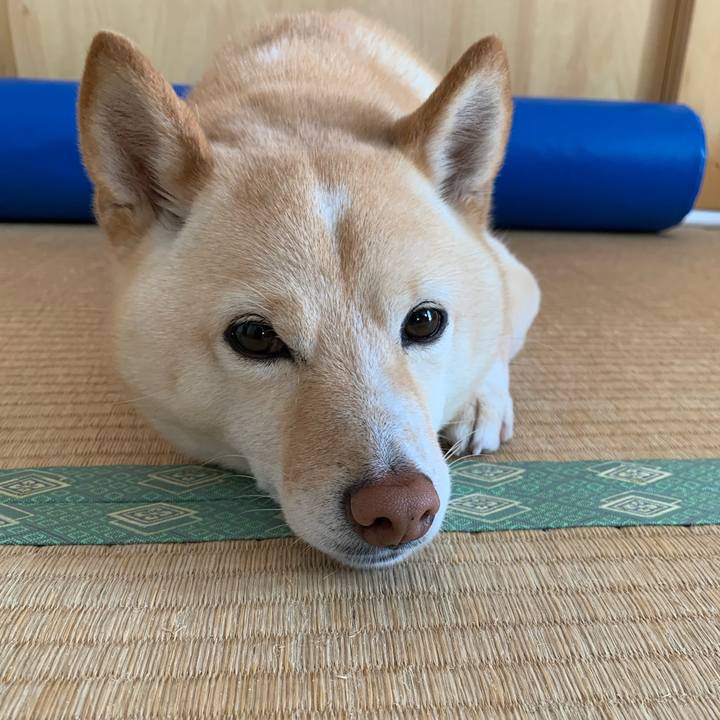 48f5cd6e db9c 4c09 8936 502f3883a509 1647645198213