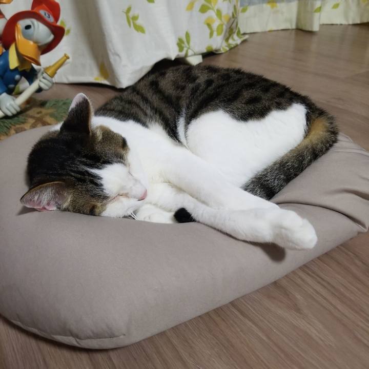 48f5d320 c539 4a89 affa 06e99d6435e8 1590319738812