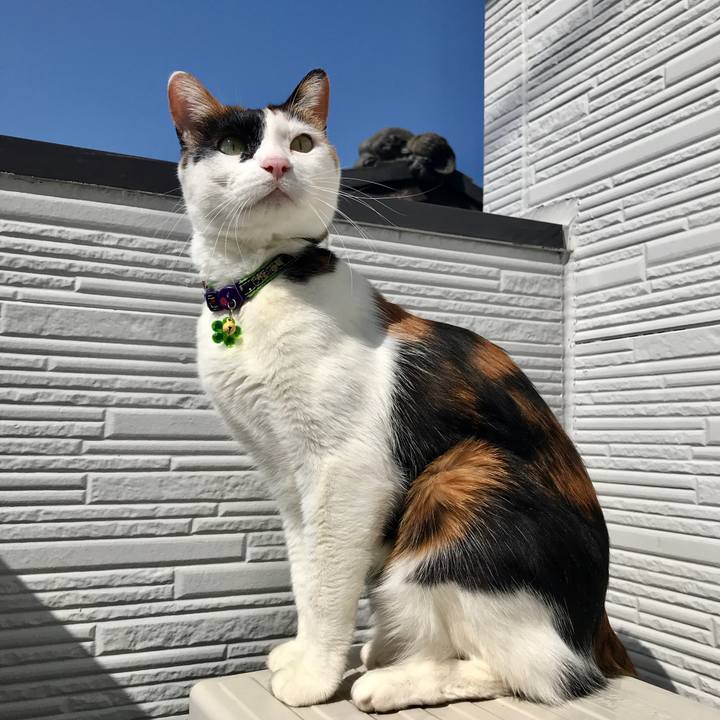 48f6275a 8d88 4d69 ba79 46c6ae5f09e1 1519698613993