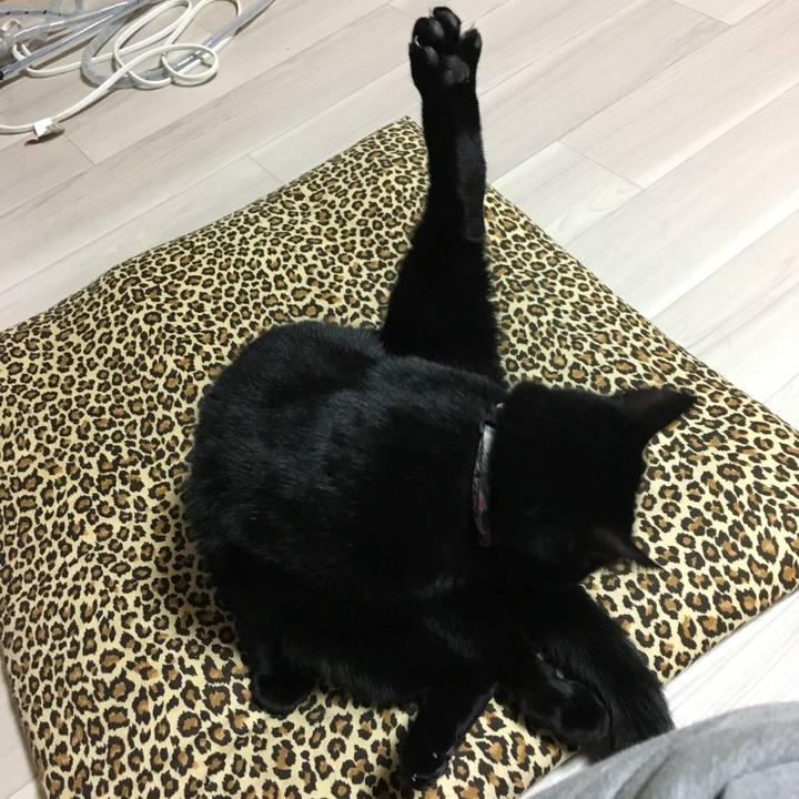 48f628cc 83fb 4185 9866 ee411df9325e 1514550166425