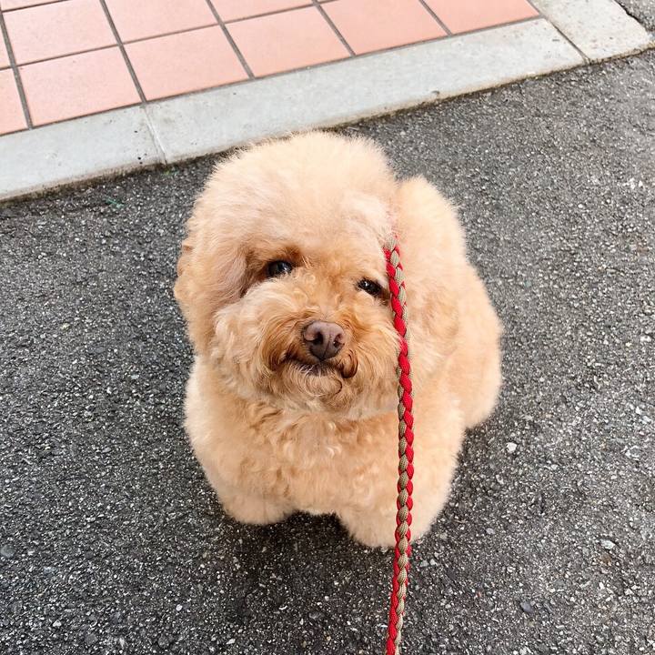 48f62fbe f060 4cc8 8be4 96386cf69c75 1509705814525