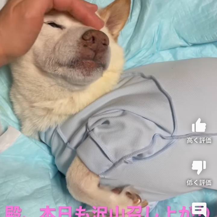 48f63c1f f45e 484c 9241 d58a2fbbf90e 1674659022177