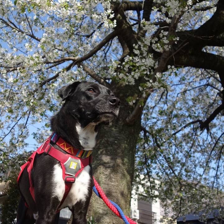 48f678c0 3350 4acd a6d5 c2737e548a90 1585873382438