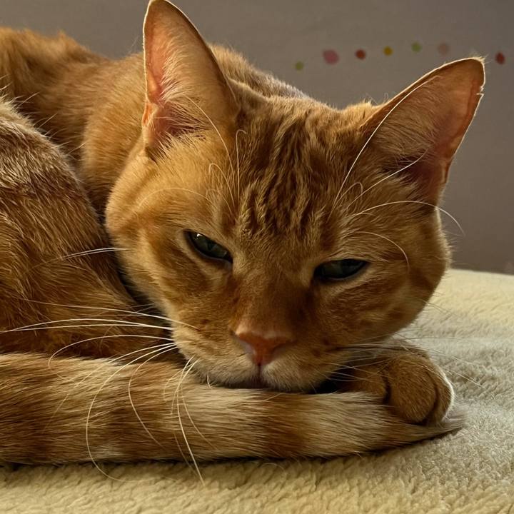 48f6cec0 cb57 4173 a4c3 27274bf18564 1761978397140