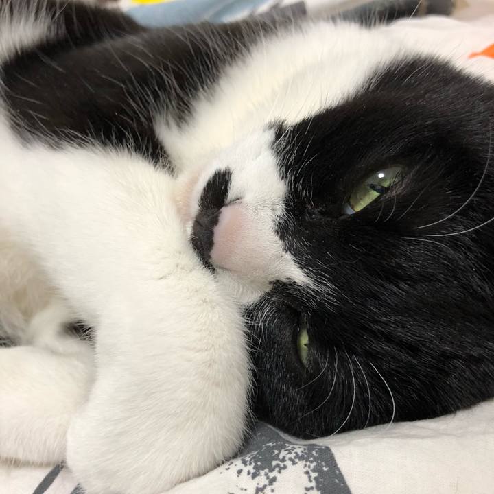 48f70cce 784b 4a2d abbd 9a40361dc8f8 1520868567212