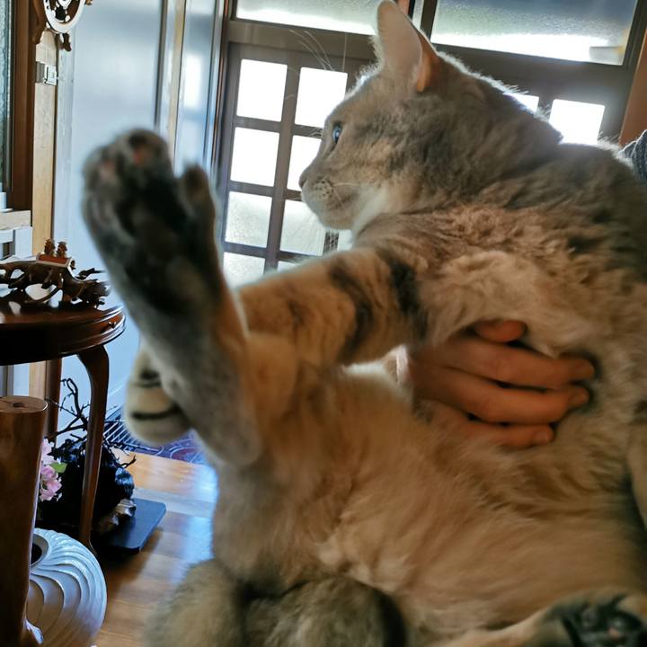 48f7136d 716a 4249 a2ed 8022562c1bed 1667707379405