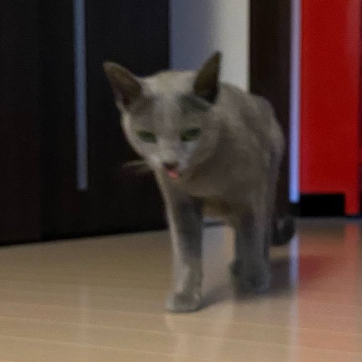 48f719d0 a746 4658 8a03 962097dca951 1581327764761