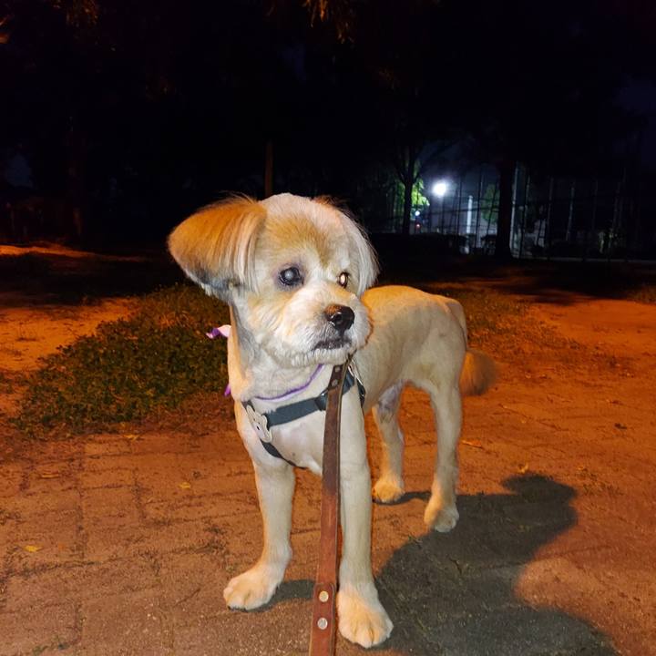 48f730bf 746b 40f3 8cec 90304b36c516 1633344099592