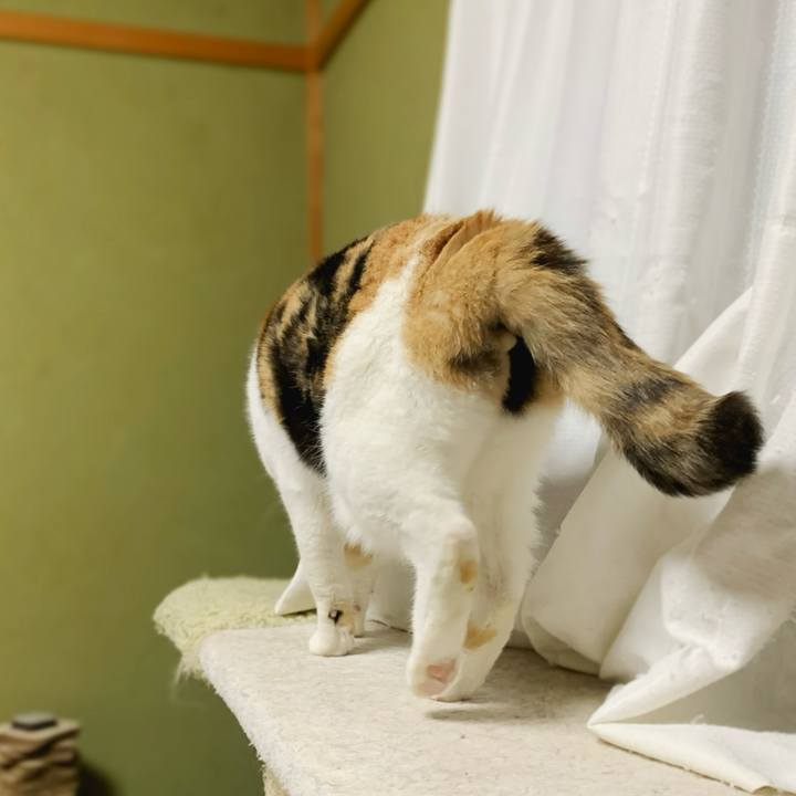 48f74624 fd96 4f8e 9b8f bec7f7a51632 1585533519419