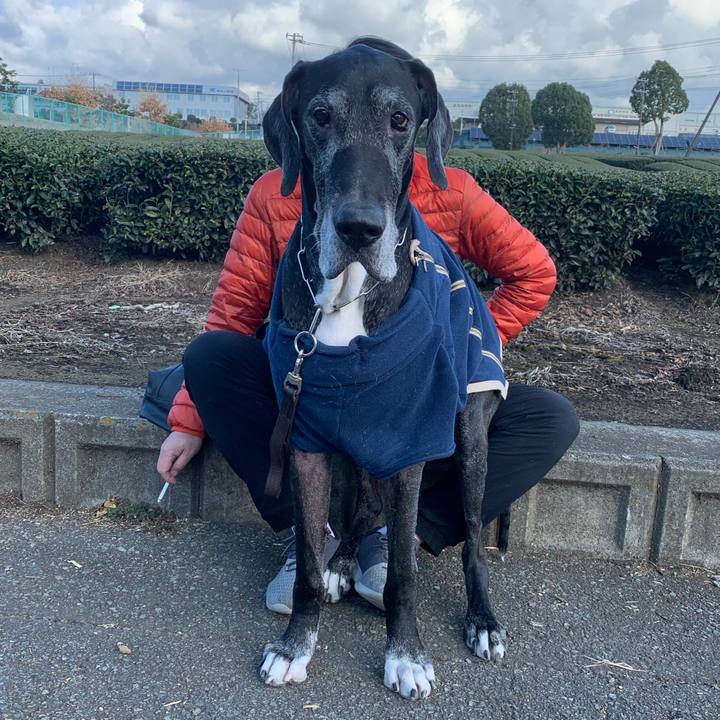 48f74cbb 97ad 4c9a a707 a12440905063 1578119272890