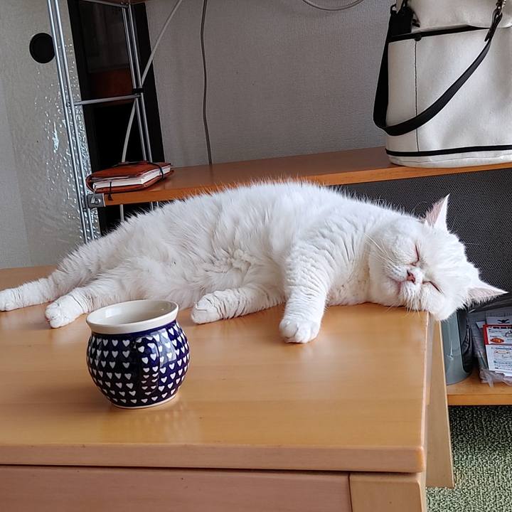 48f761f7 9fd5 49c9 b328 502e6608dd3c 1656123418043