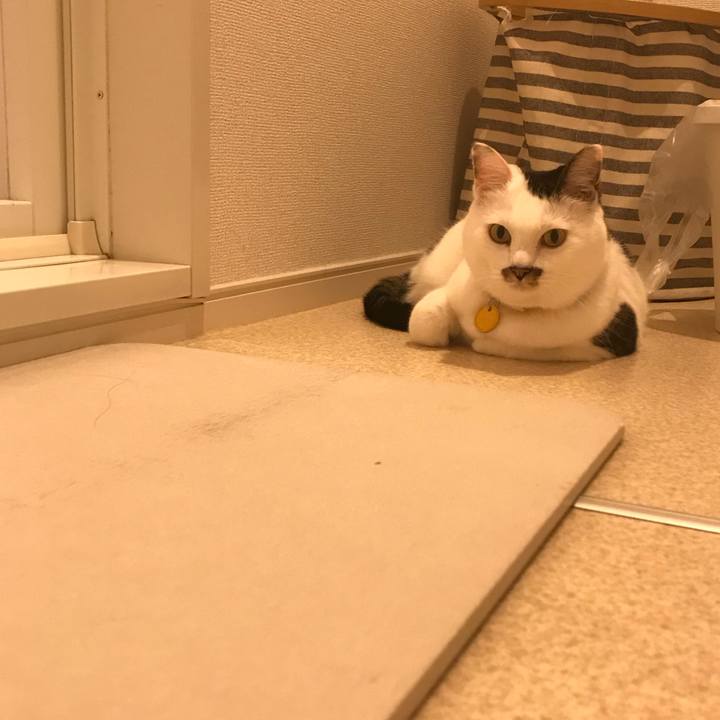 48f7665e 8dbb 41cf 872f 258ecdcbd7c0 1535600358422