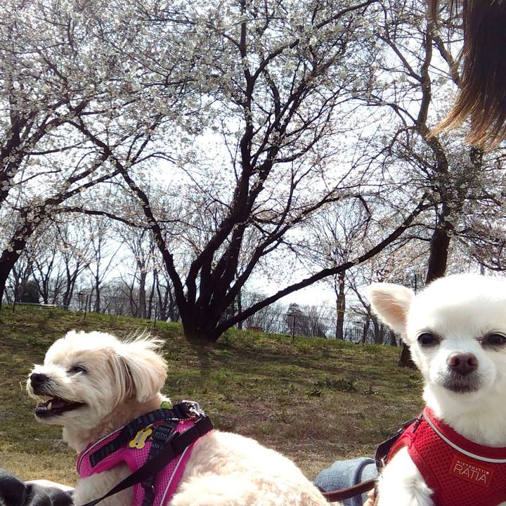 48f78335 3997 4645 a550 c7af4e293d84 1616827716951