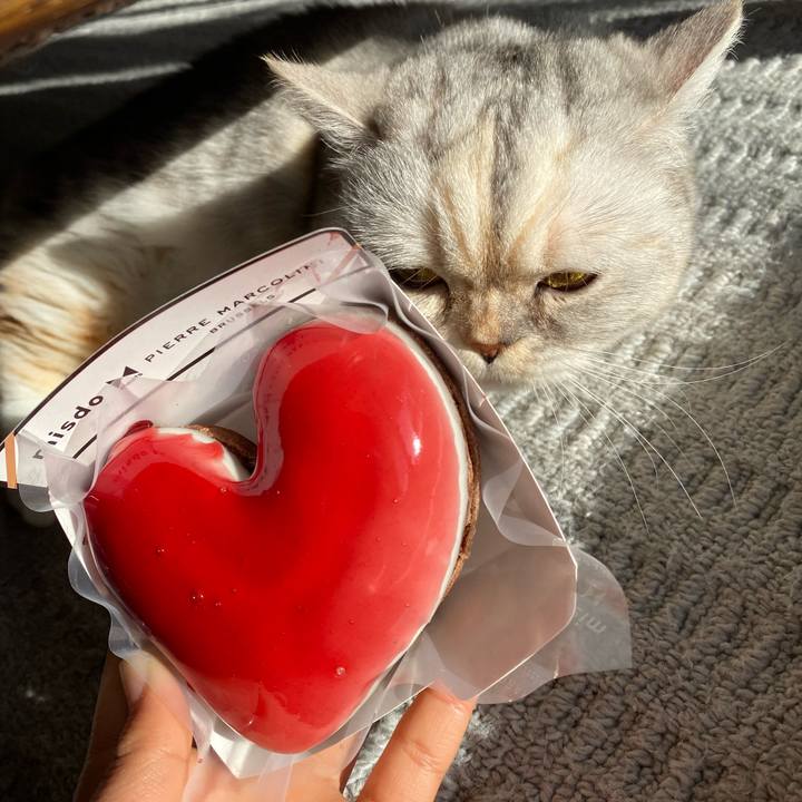 48f7b88d c9d7 42f8 82fd 4383c774a254 1739577246136