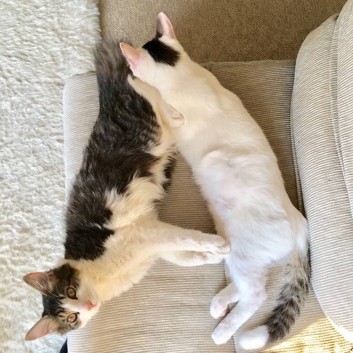 48f7ba51 9075 41d8 8d49 5c62589e1226 1537687907771