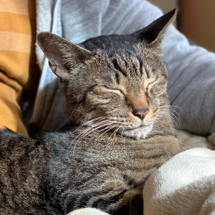 48f7ce9c d736 432d 9ca9 1b43a2b9f695 1576373409820