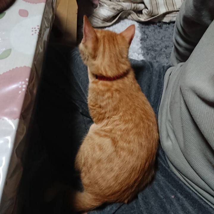 48f82c6e 018d 4ae3 91f1 b03a32da8502 1633258500848