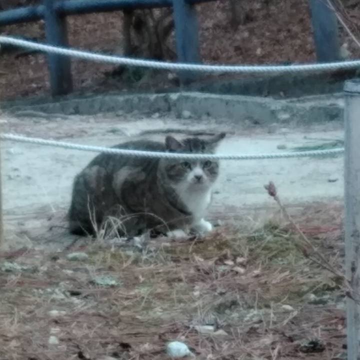 48f83a91 d717 40c1 aa19 06fa24c185c4 1550284853616