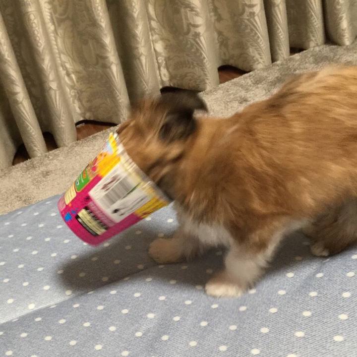 48f84fc4 f150 4e3c 9b86 649105d334e6 1535453965496