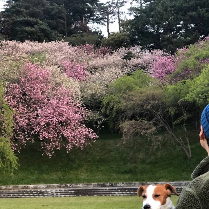 48f859ab d61a 4806 8e52 15be6b5b48a4 1681618787145