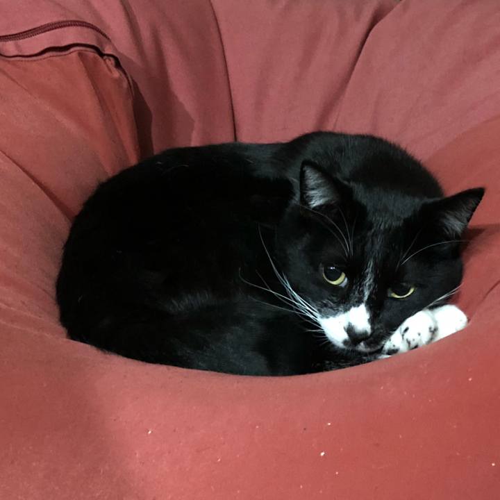 48f8799c 3442 40d4 8bfb a69346474464 1636084175713