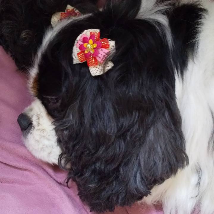 48f8849b 95ad 469e b02c 31a7476654ec 1603601962985