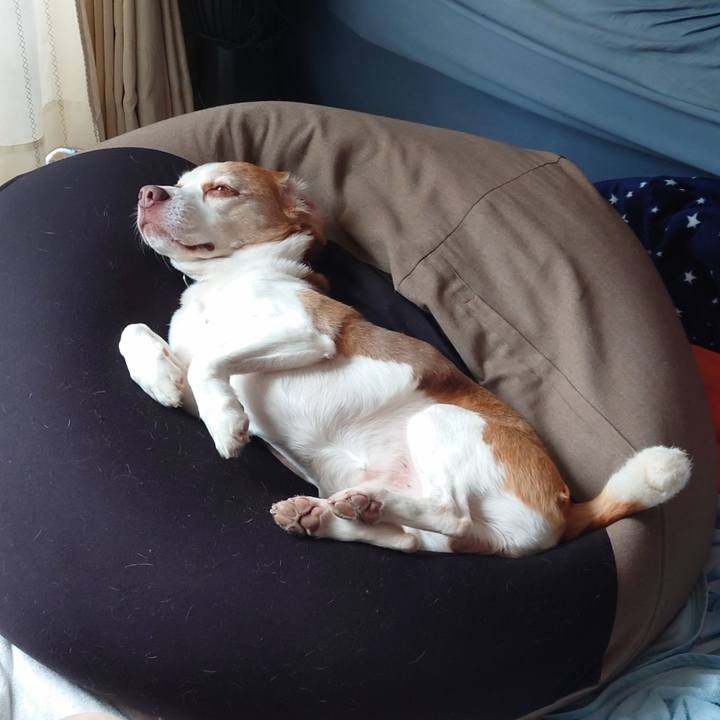 48f88bdf 6d65 4419 82b1 b24750ad5559 1754007673903