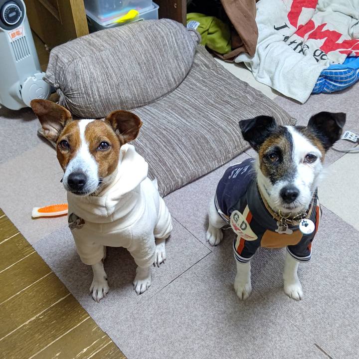 48f88c6a c48e 4737 a8bc dabee5795779 1640648232870