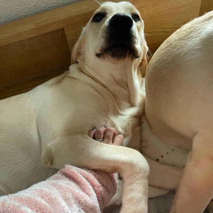 48f8999b b4ad 4719 8548 b464490824f0 1643947481380