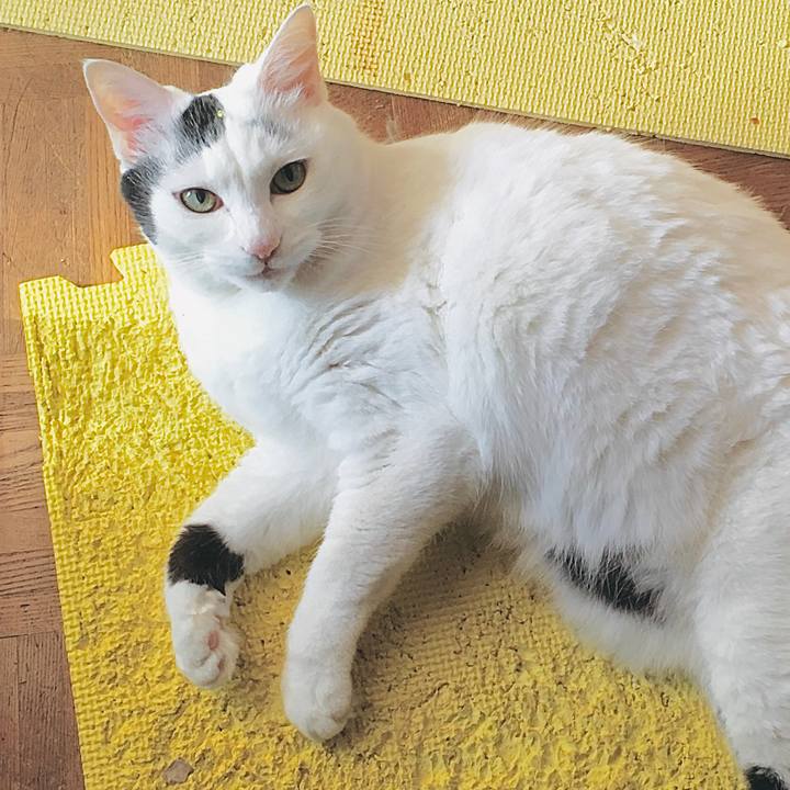 48f8c293 4b4e 4947 8862 c6d675703a89 1574229332605