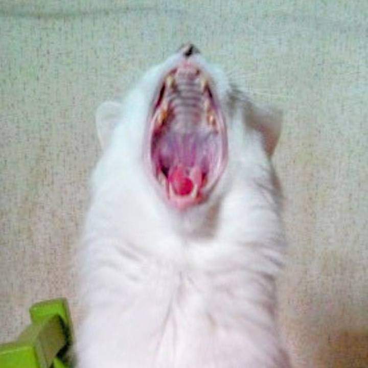 48f90231 9ae2 46a6 8759 f9a49f56f8cb 1679409188289