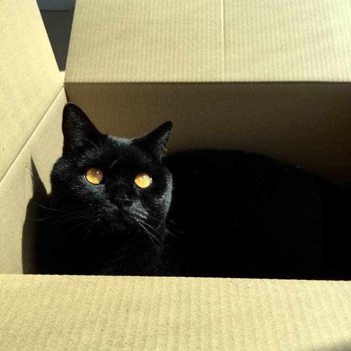 48f91413 1752 4881 8f42 67bf75b1cbc7 1554265501095