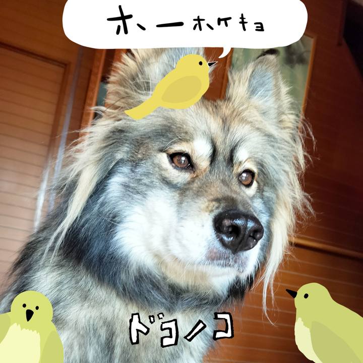 48f917e1 3133 4fe5 a8de cb16a52737e6 1711183989967