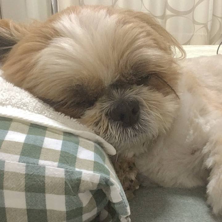 48f922c5 c0cd 4749 8a40 742ce11961bd 1507991723439