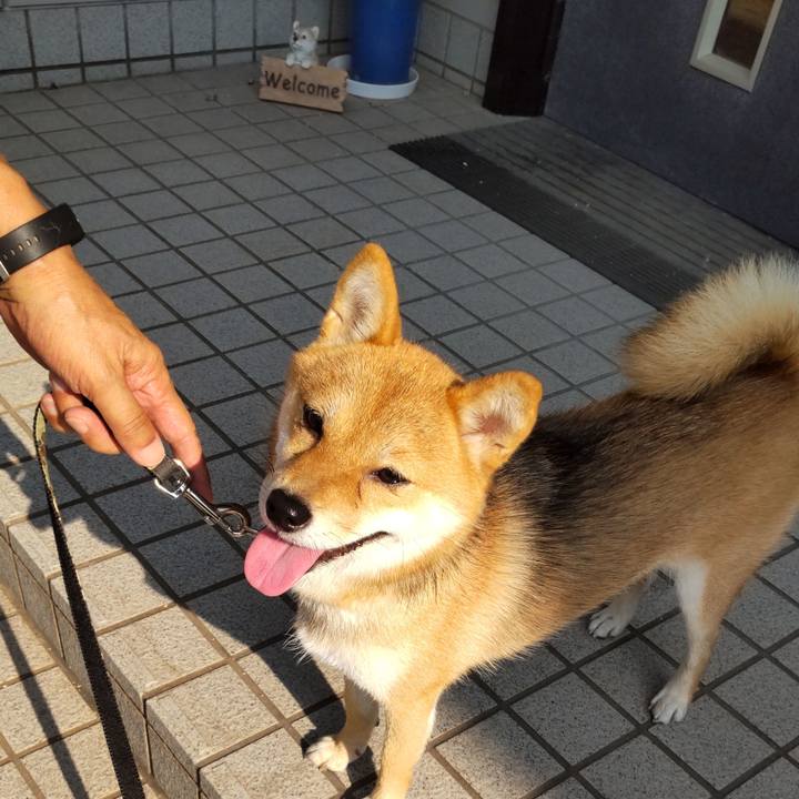 48f9261c c67b 4a5d a7ef 9a939172ce57 1627947531796