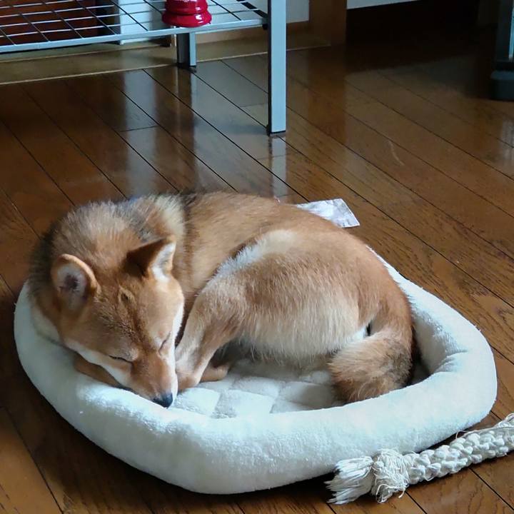 48f93e21 739e 4019 b68e 91a44228f894 1628738890342