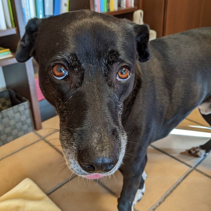 48f9672c 182b 440e 8ea2 22a5fc06aa92 1700391090208