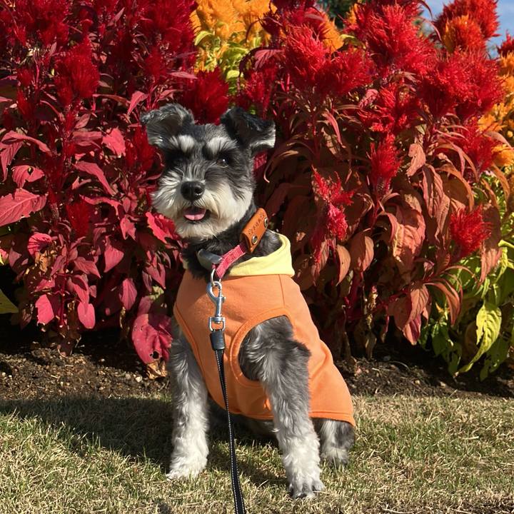 48f991bf a842 4940 9a2a c8c49ff77401 1763206302371