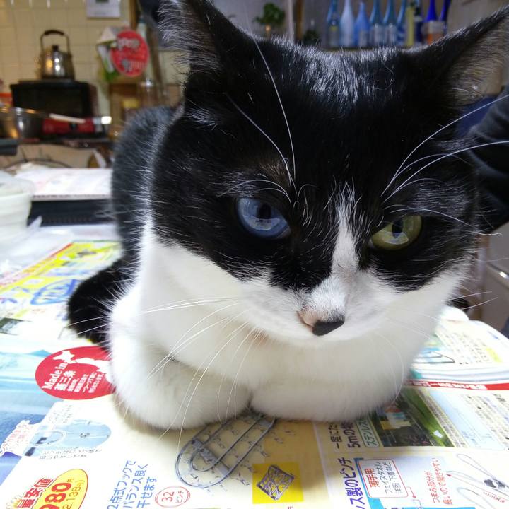 48f9b733 aa4b 45da 94a5 354137c5f3af 1524560435190