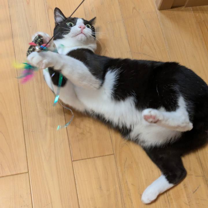 48f9b863 048d 4091 aaf1 832fc1c1b8eb 1765877644522