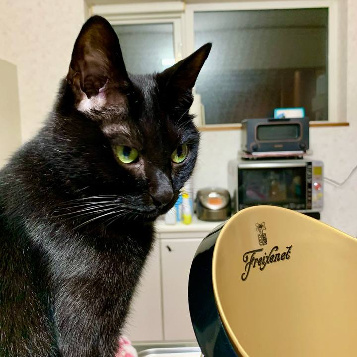 48f9bbfe d503 45c5 99e2 96814ea4aafc 1658576520562