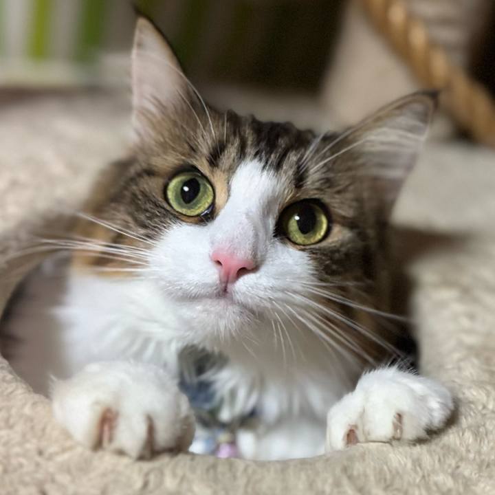 48fa0c9a 3124 46d3 96a9 3b9f3a9c134e 1763168784534