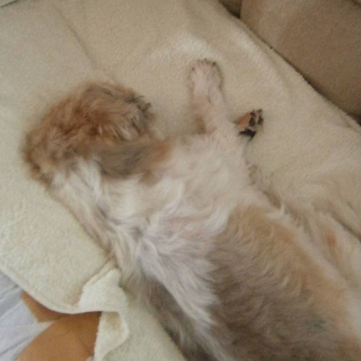 48fa2797 17ff 4a59 86fb 6982ece23718 1565772861596