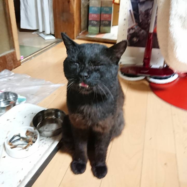 48fa3f10 1971 4cd6 8e89 659e135ce7f9 1625918627749