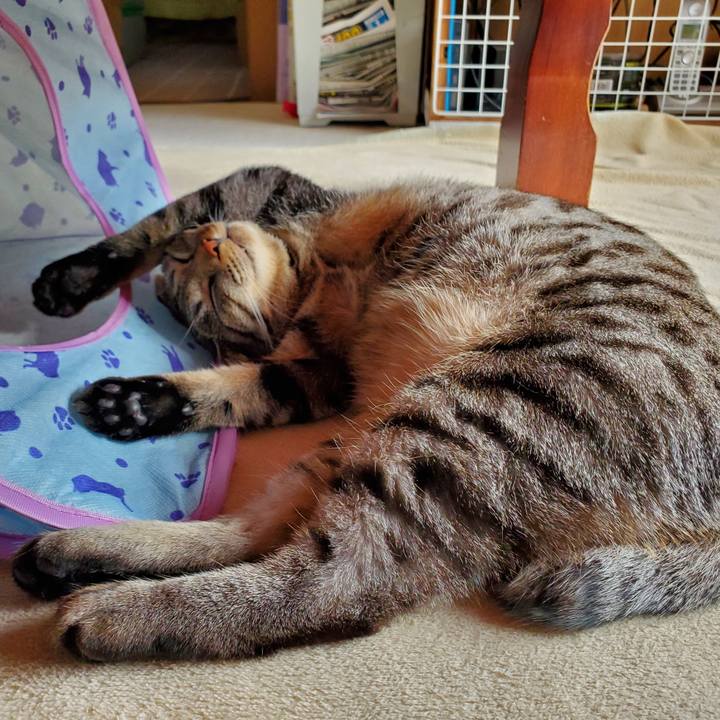 48fa867f 67c1 4025 8cea 4cdba805165a 1701857411744