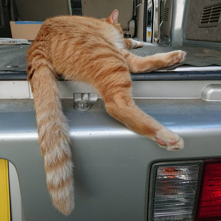 48fa8b6e 2d69 4d7d a456 1c2bc2f36a73 1565258308055