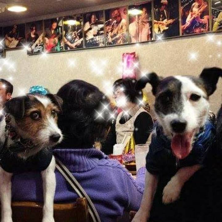 48fac190 2d68 4ebd bf2c f08cc5f9b35d 1511684057556