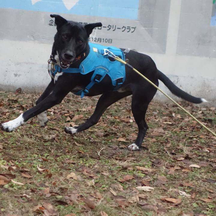 48fac6cb c08d 4b76 a63a 45c632546a92 1608855150028