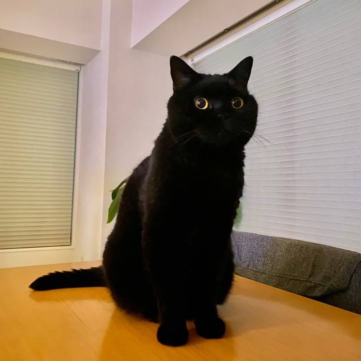 48fac90e 41e8 4412 bd3d a3489bb0eaa0 1755267171671