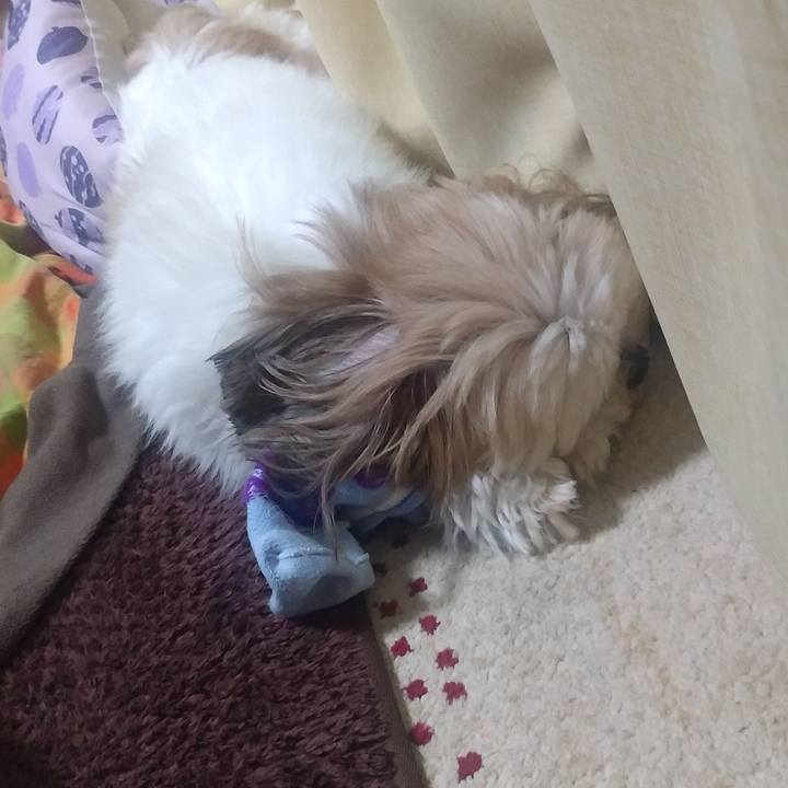 48fad280 1fb6 4ef5 9be2 e3faedaaed5d 1571121719465